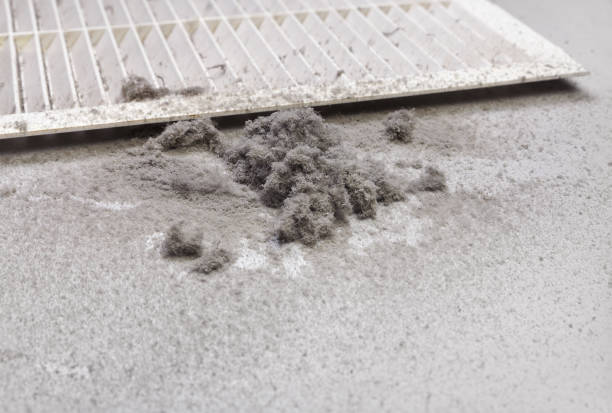 Best HVAC Air Duct Cleaning  in Hampton, MD