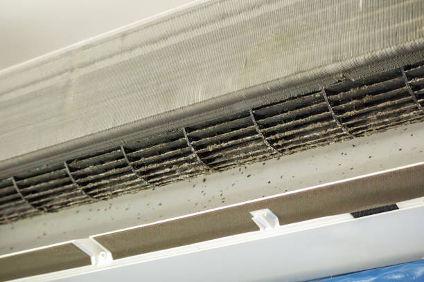 Best General Air Duct Cleaning  in Hampton, MD